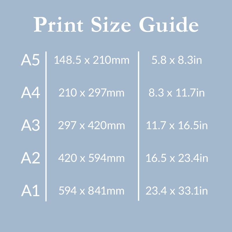 Spotify Code Secret Song Print or Playlist