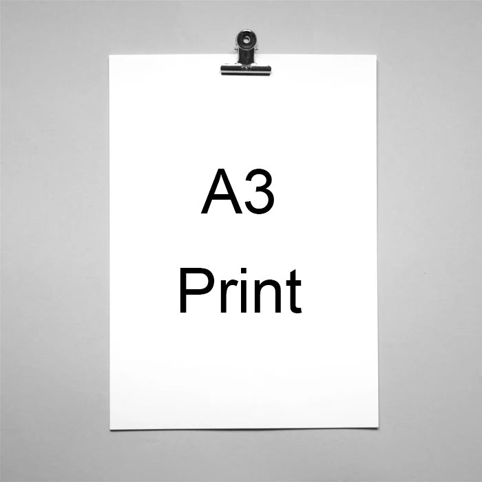 Print Size Upgrade