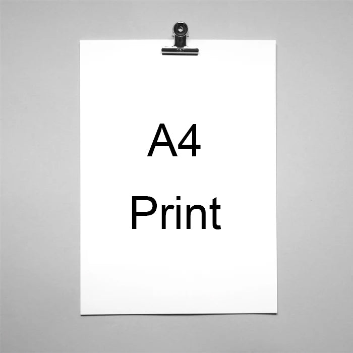 Print Size Upgrade