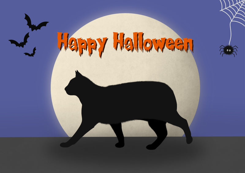 Pin The Tail on The Black Cat - Halloween Game FREE