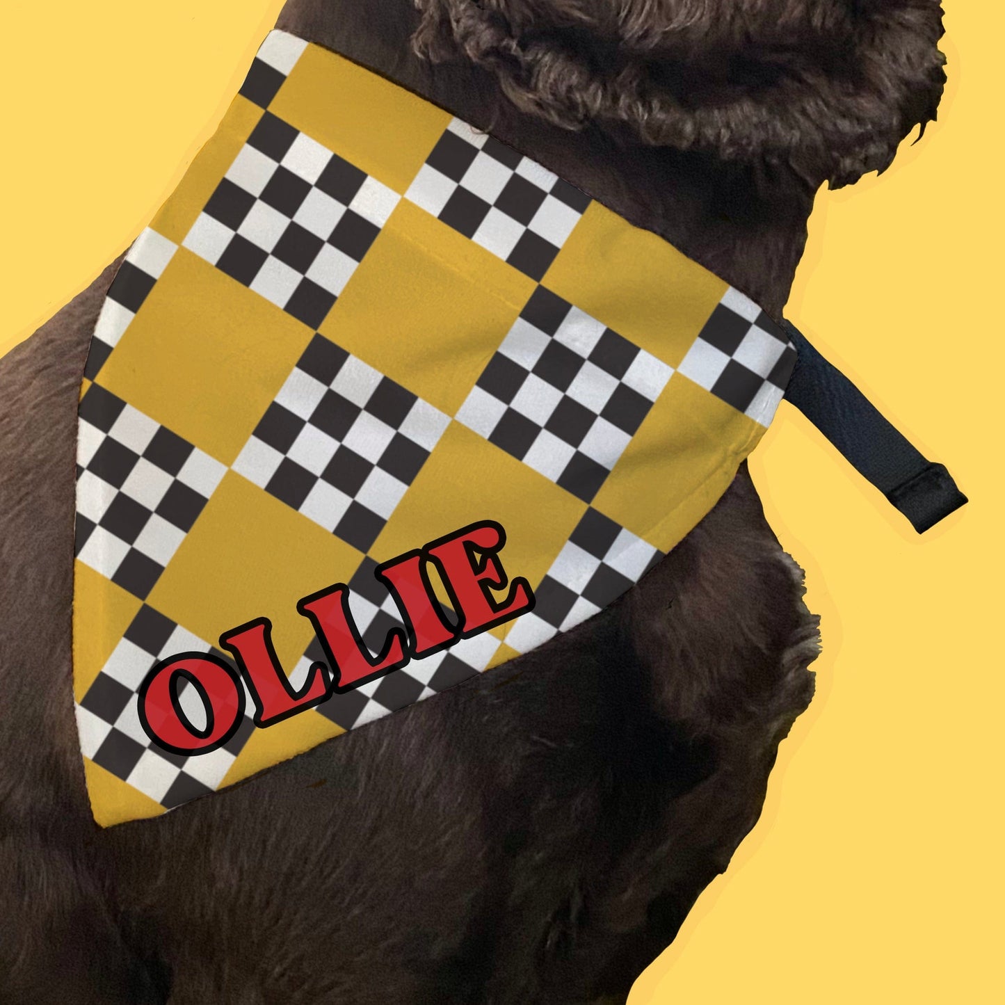 Dog Bandana Personalised Fun Pattern & Optional ID Tag