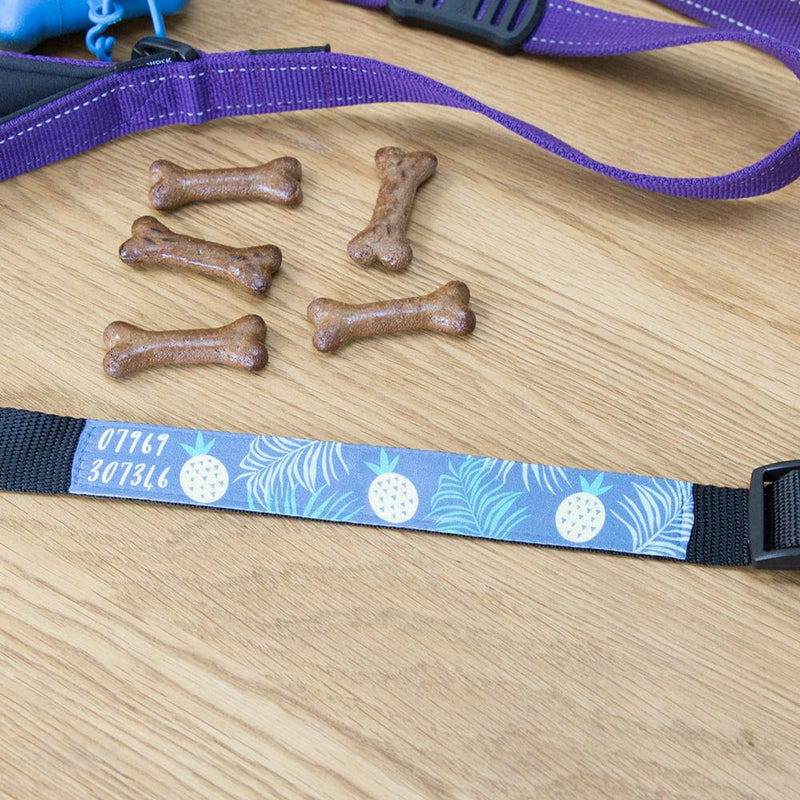Personalised Dog Collar - Funky Pineapple Design - Christmas Gift For Pet