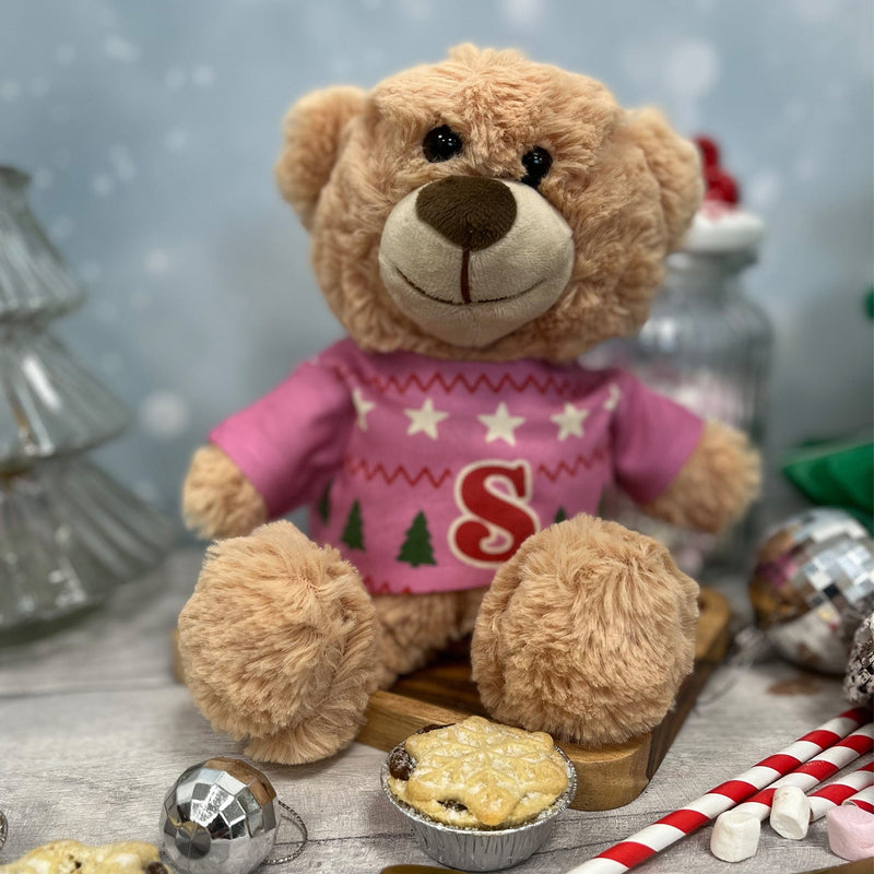 Baby Bear with Personalised Christmas Jumper
