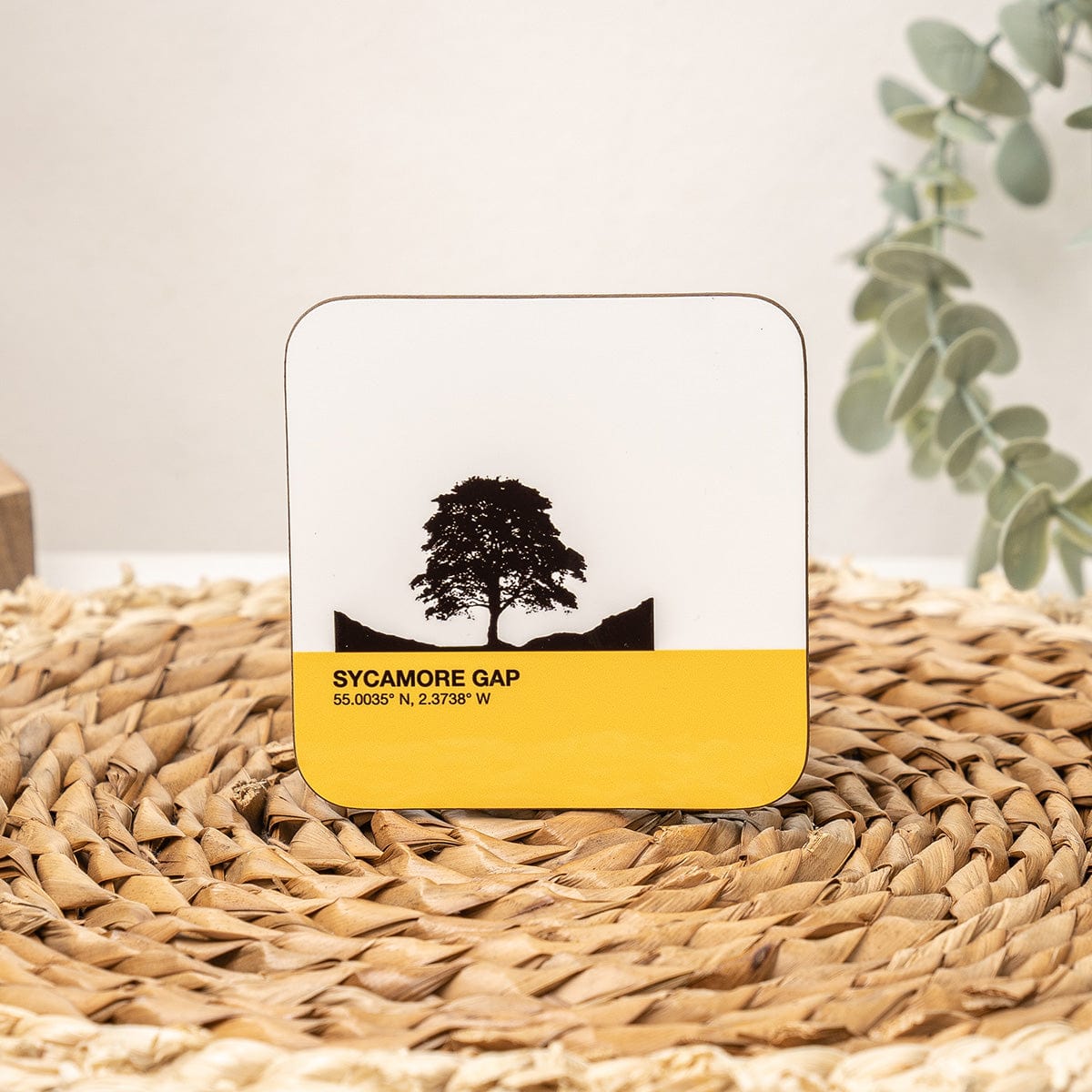 Sycamore Gap Tree Northumberland Mug & Coaster