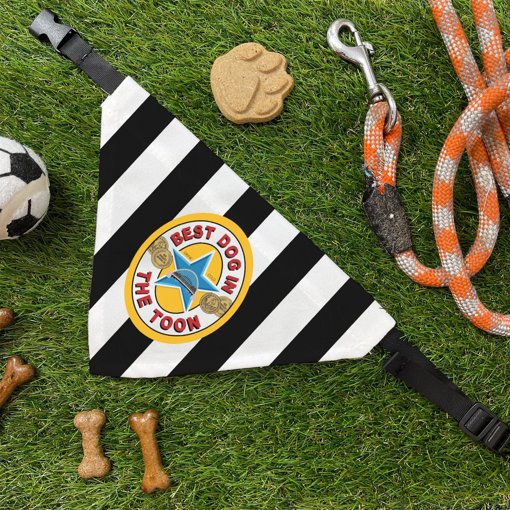 Best In The Toon Collection — Not Just A Print